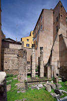 DSH1738